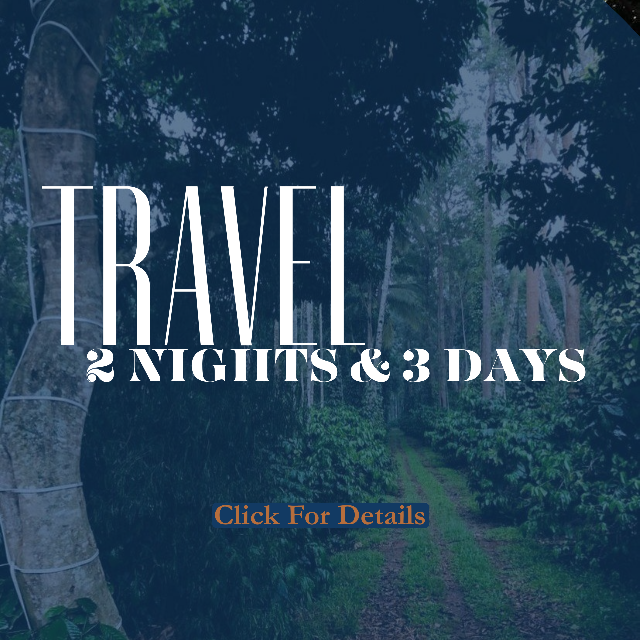 2 Nights & 3 days Packages From Hyderabad.